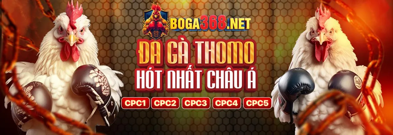 Đá gà trực tiếp kịch tính tại GD86 Win